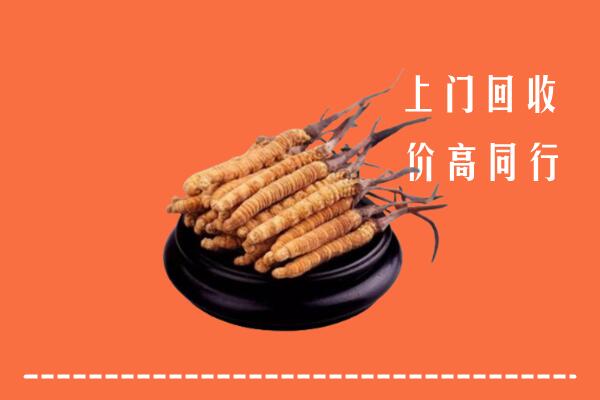 高价求购：天元区回收散虫草
